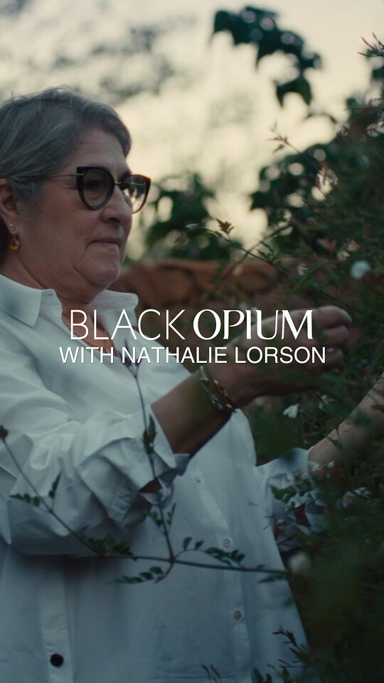 Una mujer de pelo gris y gafas, con camisa blanca, cuida de un frondoso arbusto verde con pequenas flores blancas. Esta de pie en lo que parece ser un jardin, con un muro de piedra al fondo. La iluminacion es suave y algo tenue, como si fuera de noche. Sobre la imagen, en blanco, aparecen las palabras "OPIO NEGRO" y "CON NATHALIE LORSON".