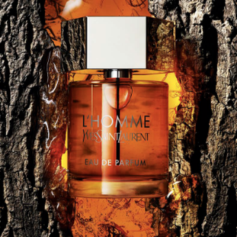 A bottle of L'Homme by Yves Saint Laurent, featuring an amber liquid, is set against a textured background of bark and resin, evoking a natural, earthy aesthetic.