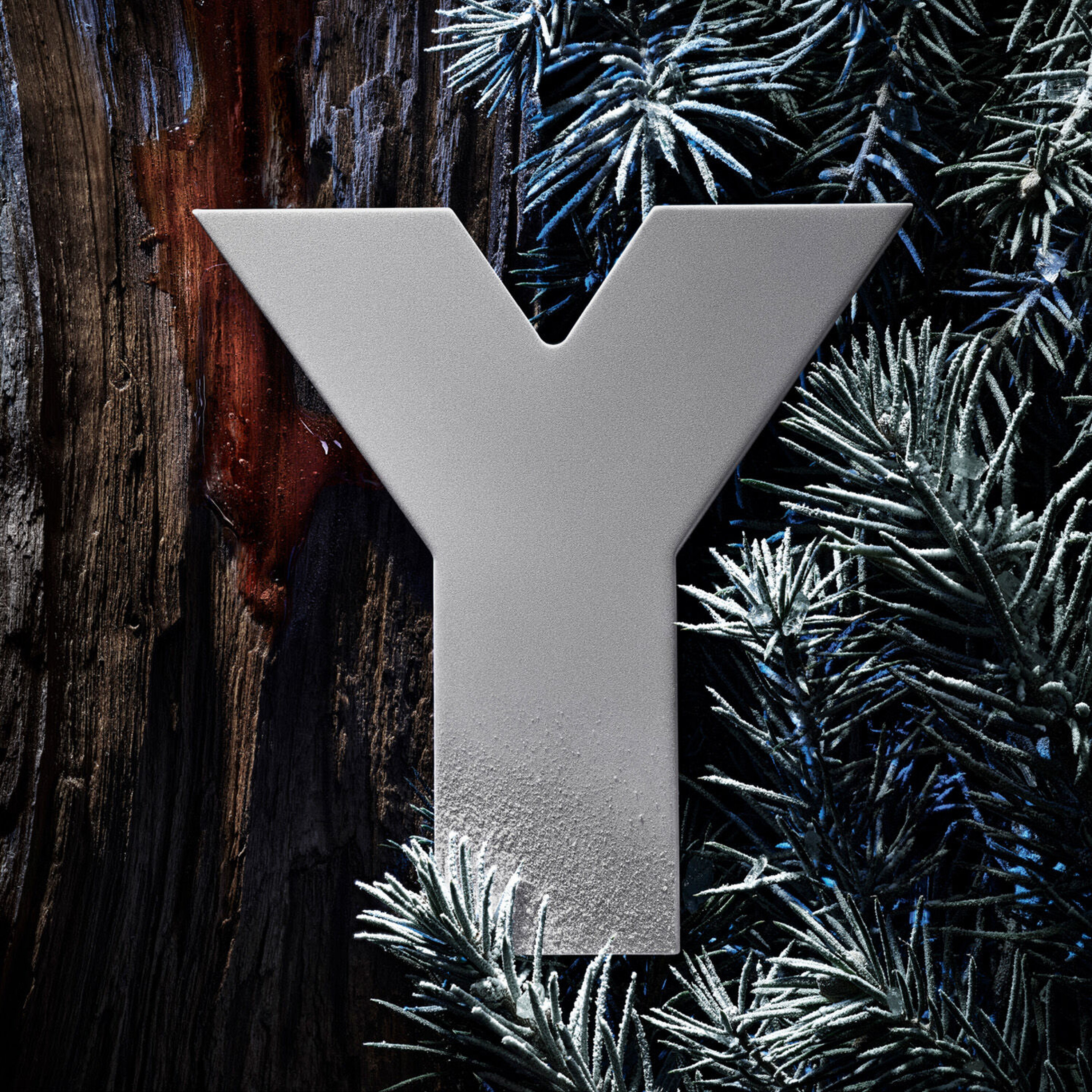 A metallic letter "Y" standing against a rustic wooden background, surrounded by frosted evergreen branches.