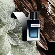 Duo Y + Recarga 150ML