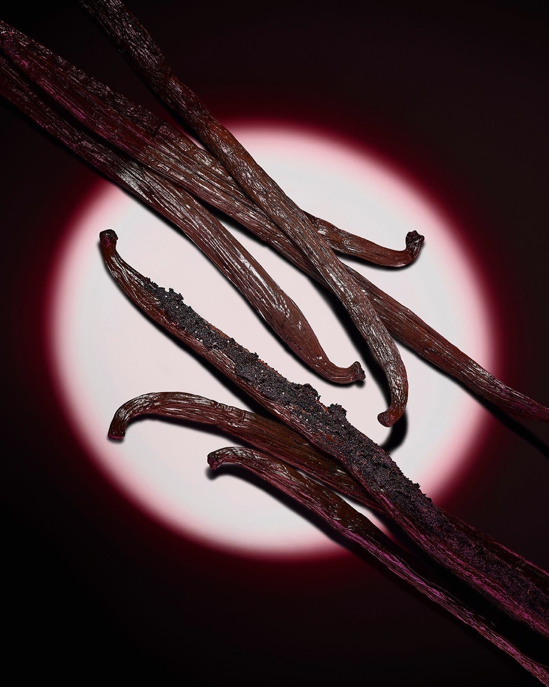 Primer plano de vainas de vainilla oscuras realzado por un foco circular rosa sobre un fondo oscuro.