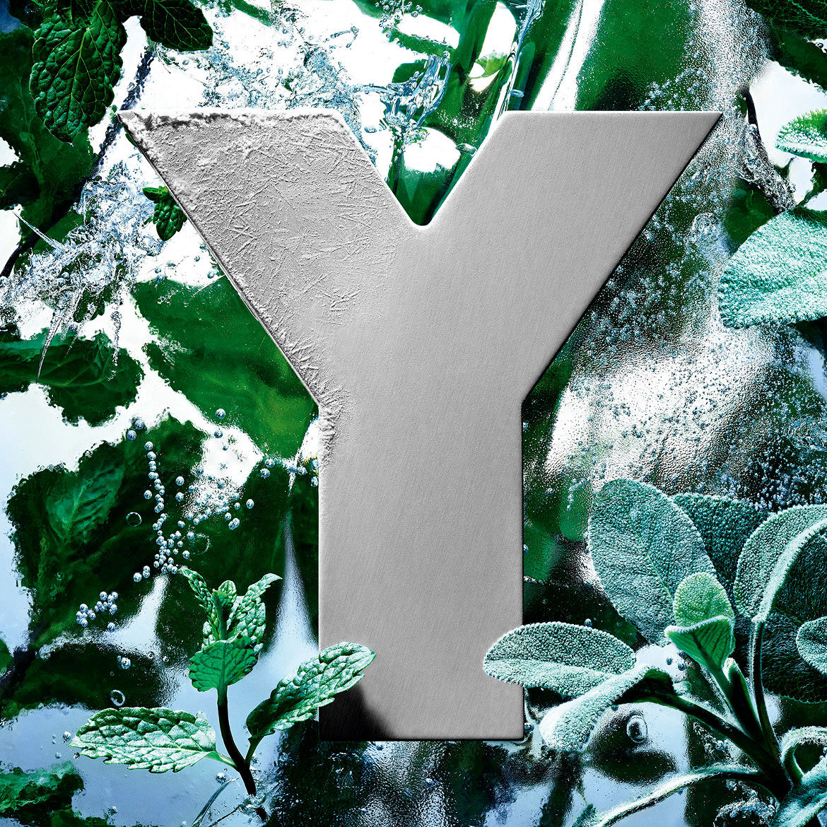 El logotipo 'Y' de YSL, escarchado con hielo, rodeado de hojas de menta fresca y salvia.