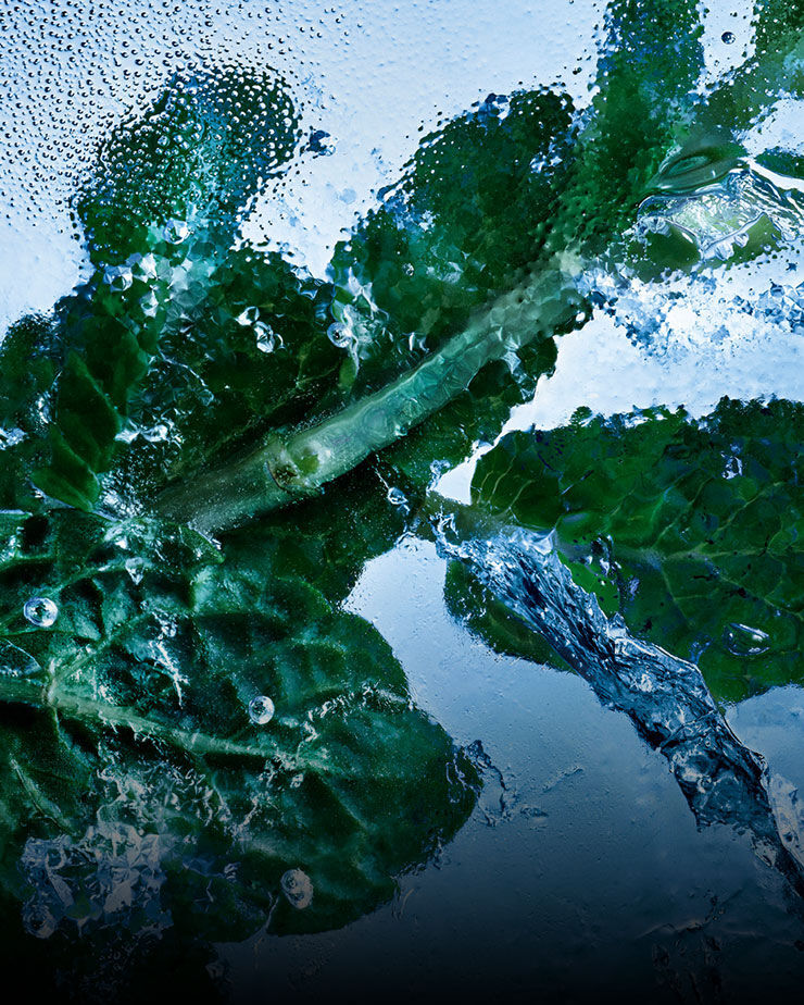Hojas de menta fresca envueltas en hielo y agua, que simbolizan la esencia tonificante de YSL Y Eau de Toilette Intense Iced Cologne.