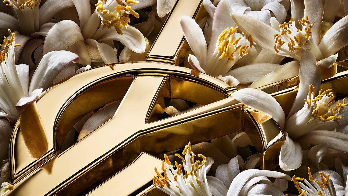 Primer plano del logo YSL dorado colocado entre vainas de vainilla, flores blancas y toques dorados brillantes.