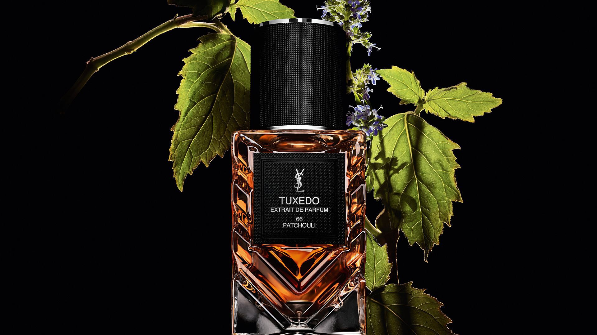 Frasco de YSL LVDP Tuxedo Extrait de Parfum, adornado con vibrantes hojas verdes de pachulí y delicadas flores púrpuras.