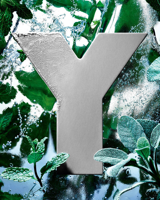 El logotipo 'Y' de YSL, escarchado con hielo, rodeado de hojas de menta fresca y salvia.