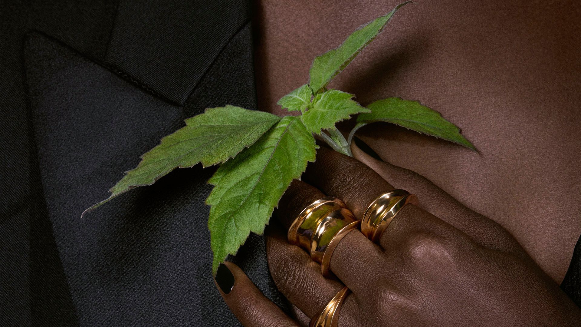 Una mano con llamativos anillos de oro y uñas oscuras sostiene una vibrante rama verde, reflejando la refinada elegancia de la fragancia Tuxedo de YSL.