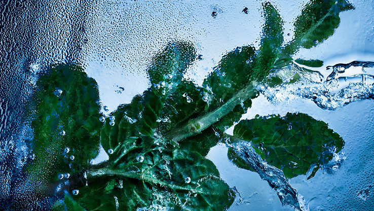 Hojas de menta fresca envueltas en hielo y agua, que simbolizan la esencia tonificante de YSL Y Eau de Toilette Intense Iced Cologne.