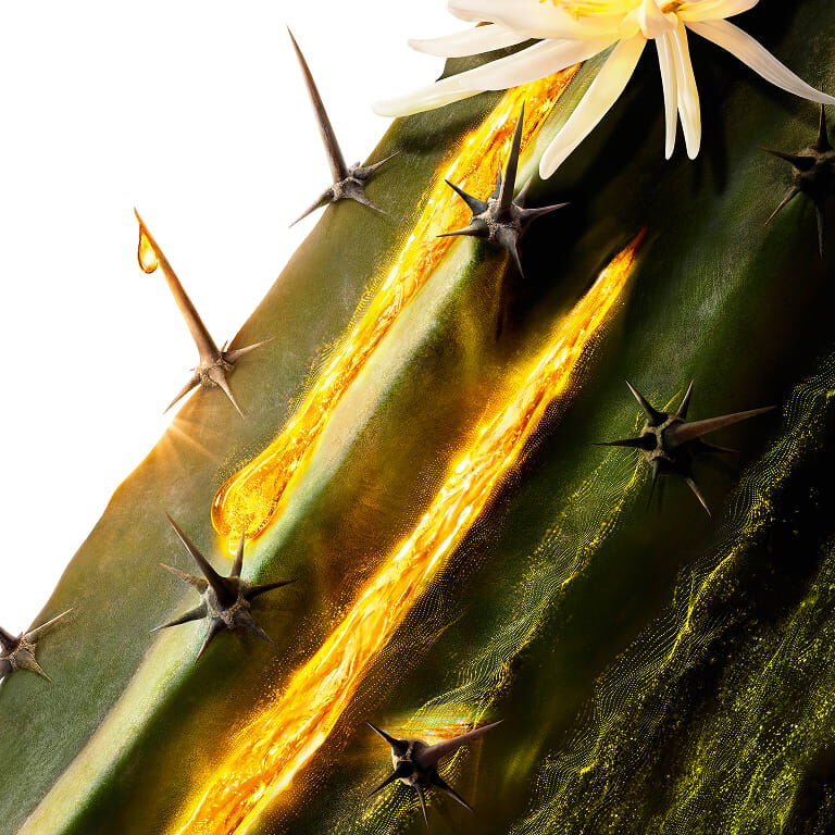 Cactus de Luna de YSL Pure Shots, un ingrediente clave, con una flor blanca y esencia dorada fluyendo por el tallo.