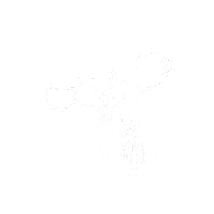 Elegante icono de manteca de iris para CŒUR
Eau de Parfum de YSL, que representa
las empolvadas notas de corazón de la fragancia.