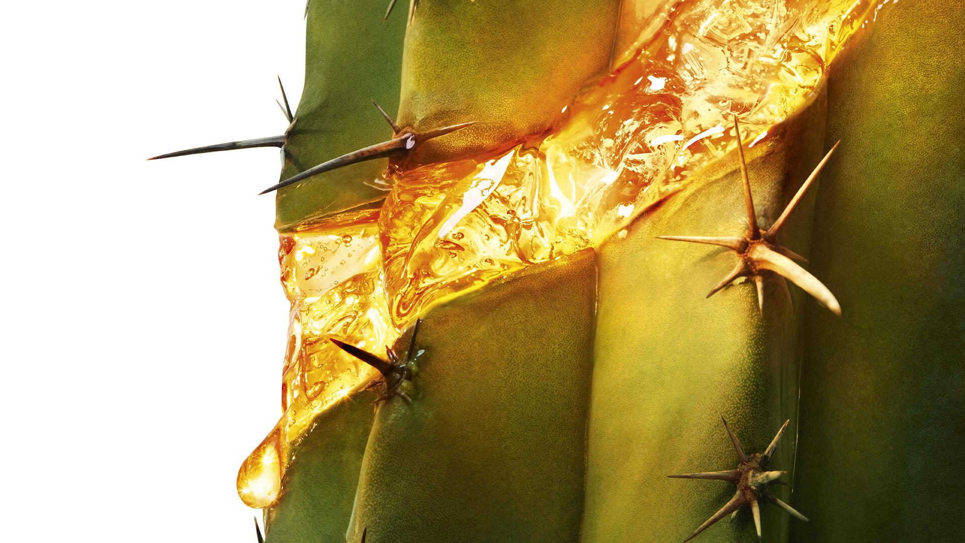 Cactus Moonlight con sérum dorado